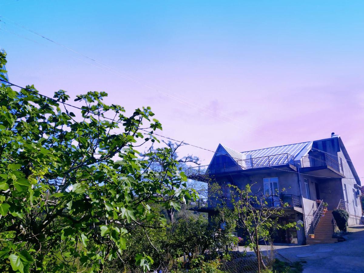53 Jincharadze Street Makhinjauri, Batumi Villa Exterior photo